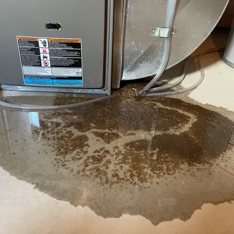 Appliance Leak Cleanup in Santa Rosa, NM